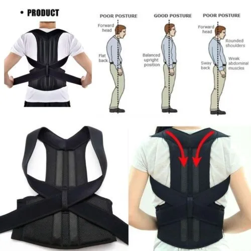 Royal Posture Back Support Belt - Image 3